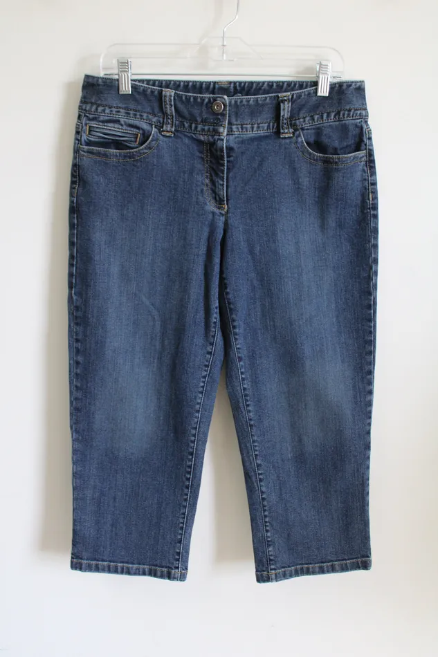 Earrings Ann Taylor LOFT Ann Taylor Curvy Fit LowOnWaist Denim Capri 8