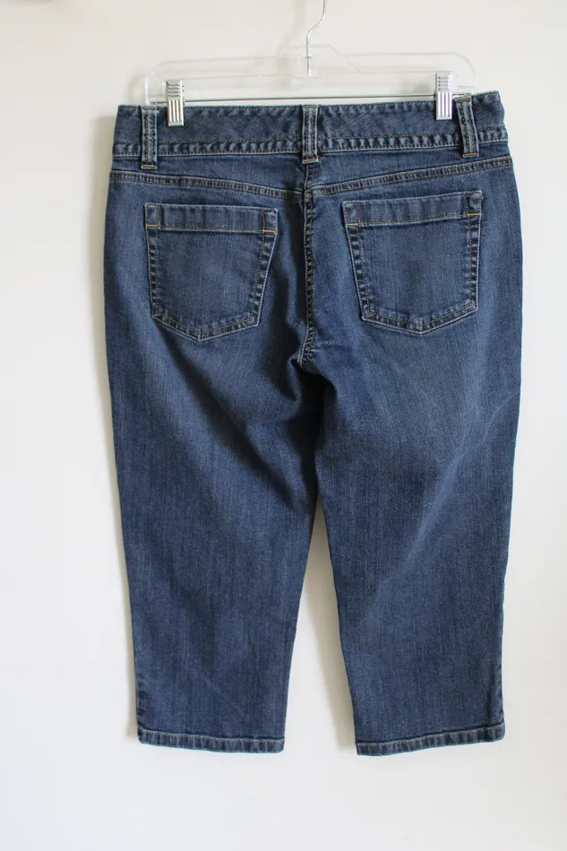 Earrings Ann Taylor LOFT Ann Taylor Curvy Fit LowOnWaist Denim Capri 8