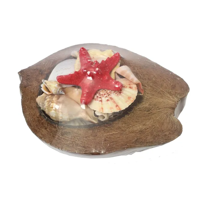 Necklaces Beachcombers Coastal Life Coconut with Shells 8 THEBEACHCOMBER