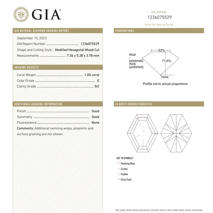 Misfit Diamonds Earrings 100ct 736x528x378mm GIA SI2 E Hexagon Brilliant 2390101