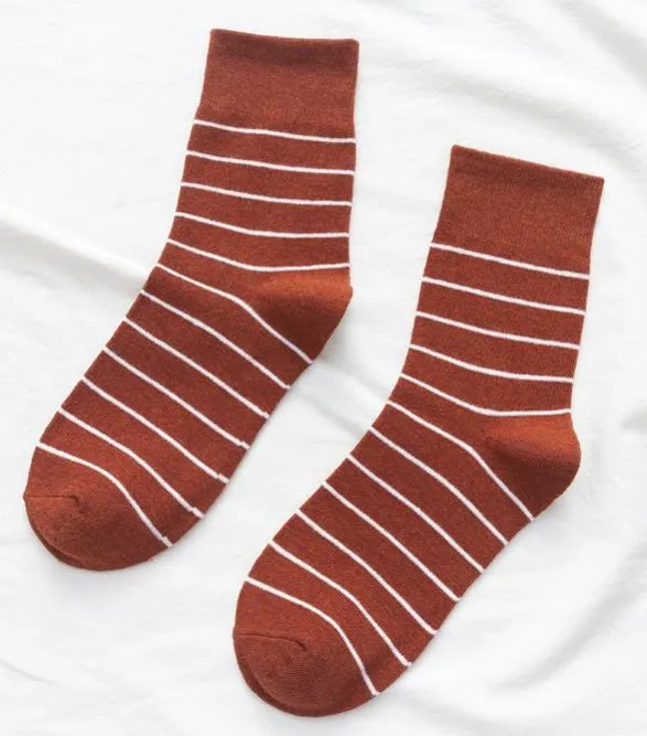 SF34 Brown White Stripe Socks POLLY Rings