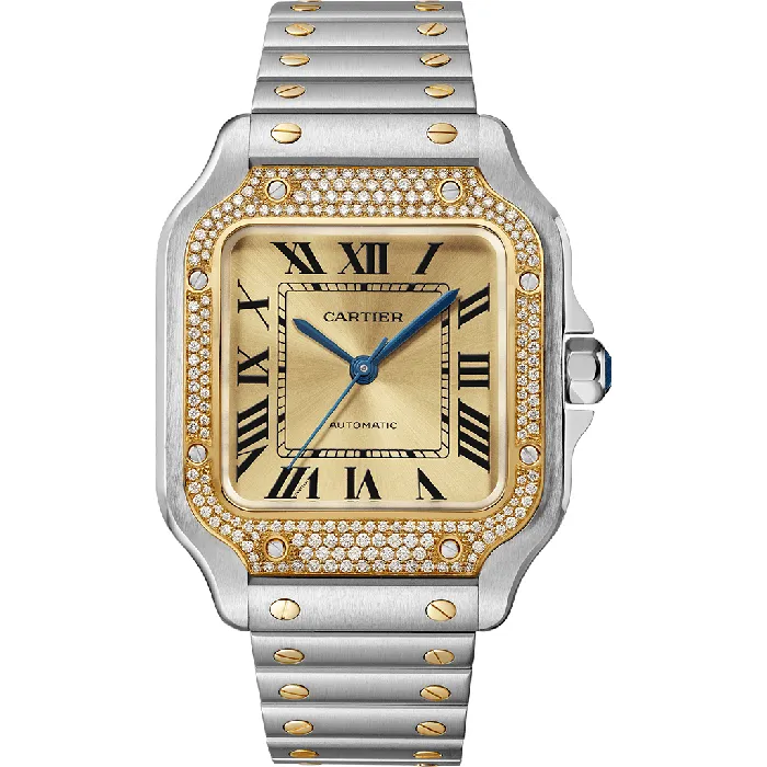 Cartier Watches Santos de Cartier watch CRW3SA0007