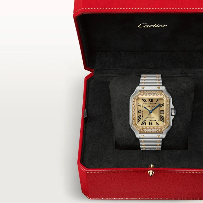 Cartier Watches Santos de Cartier watch CRW3SA0007