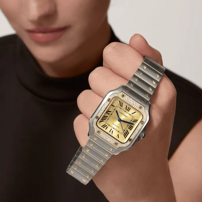 Cartier Watches Santos de Cartier watch CRW3SA0007
