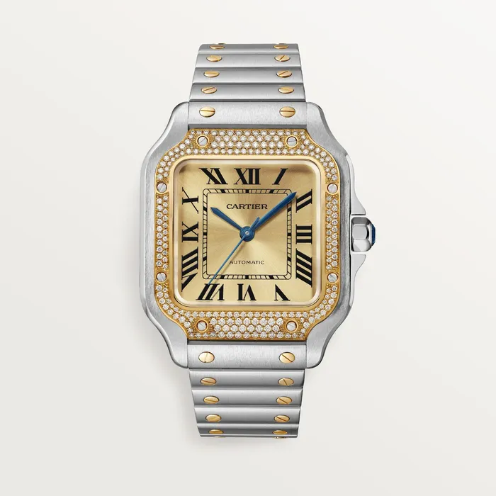 Cartier Watches Santos de Cartier watch CRW3SA0007
