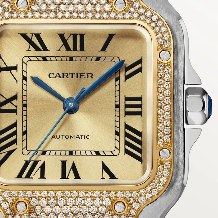 Cartier Watches Santos de Cartier watch CRW3SA0007