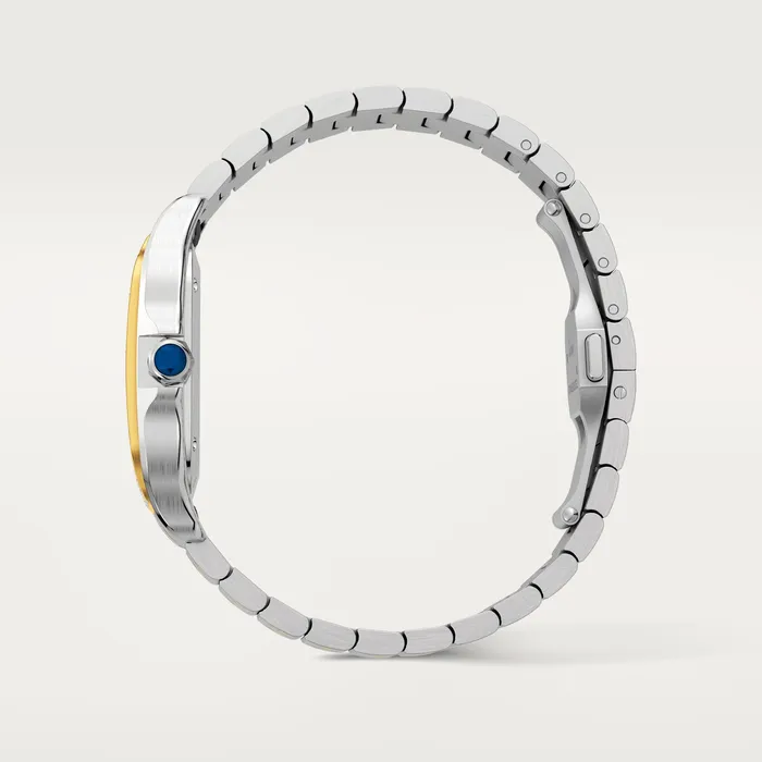 Cartier Watches Santos de Cartier watch CRW3SA0007