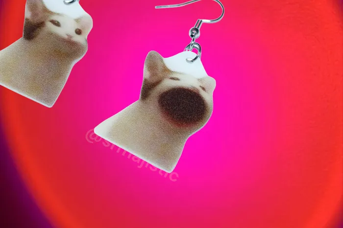 Earrings Sam Makes Things Pop Cat Meme Handmade Earrings