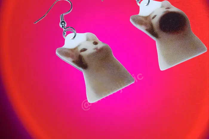 Earrings Sam Makes Things Pop Cat Meme Handmade Earrings