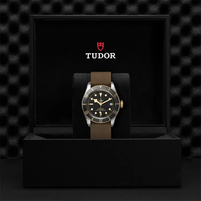 Earrings TUDOR Black Bay SG 41mm Steel and Gold Tudor