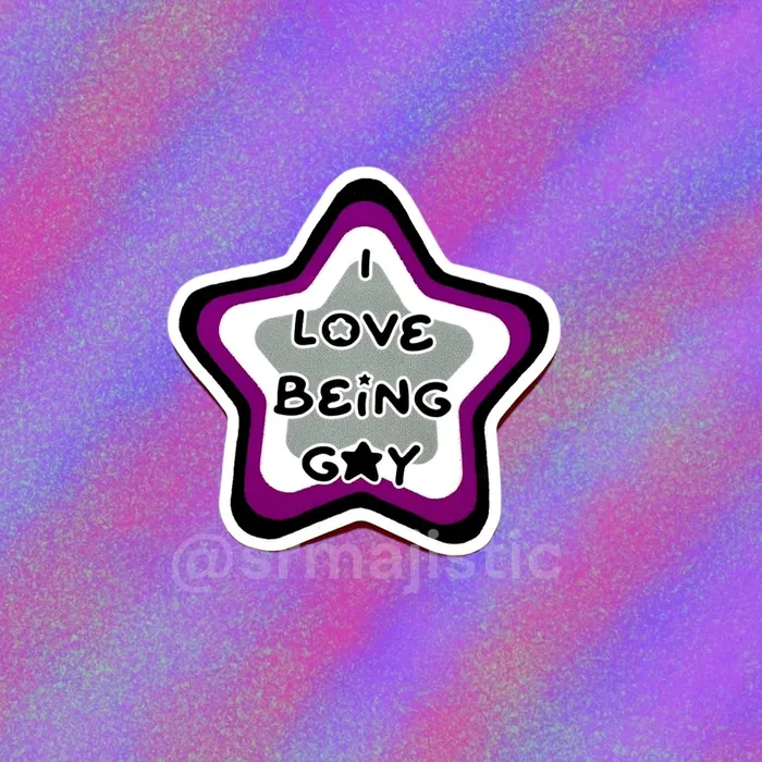 I Love Being Gay Various Pride Star Bumper Stickers Sam Makes Things Earrings I Love Being Gay Various Pride Star Bumper Stickers Sam Makes Things Earrings