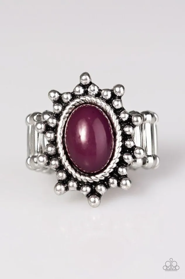 Rings Paparazzi Jewelry Paparazzi Ring Seasonal Sunshine Purple