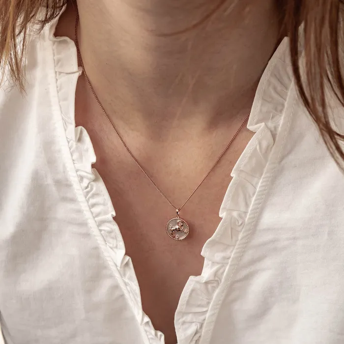 Aries Zodiac Pendant Necklace Hey Happiness Necklaces